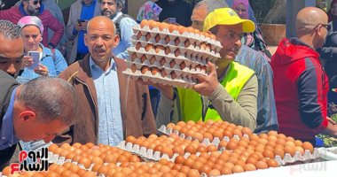 الكرتونة بــ 140 جنيها.. وزارة الزراعة تطلق منافذ متحركة لبيع بيض المائدة 