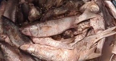 إقبال على شراء الفسيخ قبل العيد فى سوق الأسماك بالإسماعيلية.. فيديو