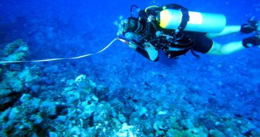 وزارة البيئة: حصر تلفيات الشعاب المرجانية لاستعادة كفاءتها بسبب حادث خليج العقبة