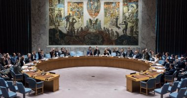 فلسطين تشكر الدول الأعضاء في مجلس الأمن التي صوتت لصالح عضويتها