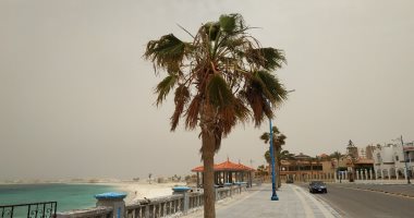 الأرصاد: رياح مثيرة للرمال واضطراب الملاحة بالبحر المتوسط والعظمى 29 درجة