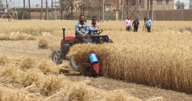 محافظ القليوبية: حصاد 10 آلاف فدان من القمح وتوريد 111 طنا للصوامع