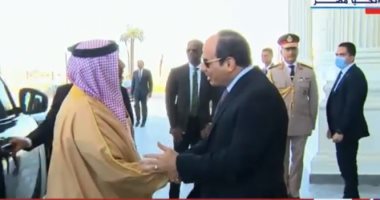 حزب المستقلين الجدد: القمة المصرية البحرينية استمرار لجهود مصر لوقف الحرب على غزة