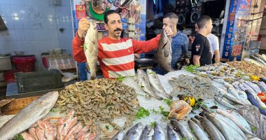 تعدد أنواع وأشكال الأسماك والبحريات في سوق بورسعيد.. فيديو وصور