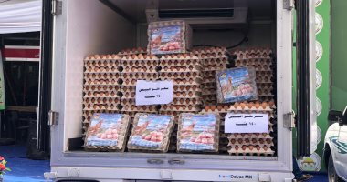 ‫10 منافذ متحركة بالقاهرة الكبرى لبيع بيض المائدة بـ140 جنيها للكرتونة.. صور
