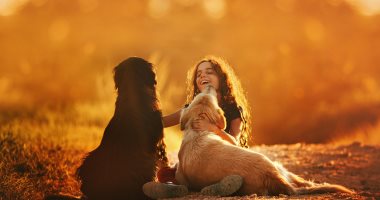 6 قواعد أساسية لضمان سلامة طفلك عند التعامل مع الكلاب