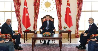 رئيس الجمهورية التركية يستقبل وزير الخارجية خلال زيارته لإسطنبول