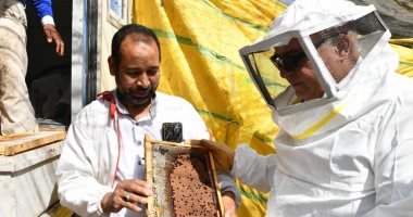 محافظ قنا يشهد إنتاج أول قطفة عسل نحل "شمر" ضمن مشروعات الأمن الغذائي