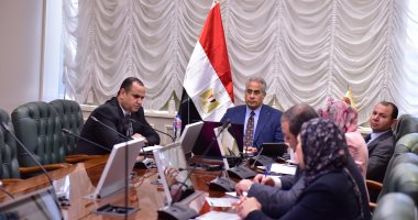 وزير العمل ييشارك فى اجتماع منظمة العمل العربية استعدادا لمؤتمر بغداد السبت