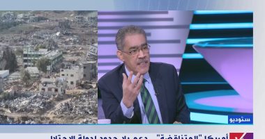 ضياء رشوان: مصر حذرت أكثر من مرة من اجتياح رفح الفلسطينية لما له من عواقب