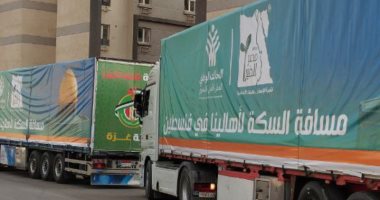 التحالف الوطنى: 1000 شاحنة دخلت غزة لدعم الفلسطينيين