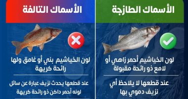 كيف تفرق بين الأسماك الطازجة والتالفة ؟ الصحة تجيب.. انفوجراف