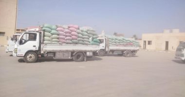 توريد 17 ألف طنا من محصول القمح بالشون والصوامع الحكومية بمراكز المنيا
