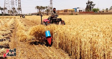 خطة التنمية الاقتصادية تستهدف زيادة المساحات المزروعة بالمحاصيل الاستراتيجية