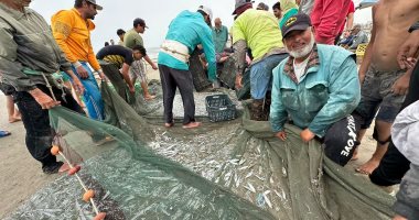 الصيادون يحصدون الأسماك فى رحلة الصيد بمياه بحر بورسعيد.. فيديو وصور