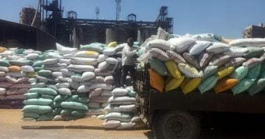 وزارة التموين تعلن استمرار توريد القمح المحلى من المزارعين بالمحافظات
