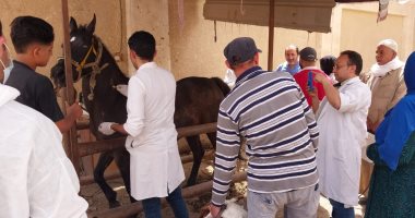 علاج 5599 طائرا وحيوانا خلال قافلة بيطرية مجانية بقرية ناهيا فى الجيزة.. صور
