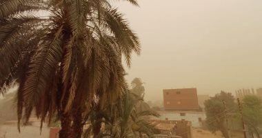 محافظ أسوان يقرر وقف الملاحة في النيل وبحيرة ناصر لسوء الطقس