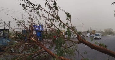 سقوط أشجار ووقف حركة الملاحة.. العاصفة الترابية مستمرة فى الأقصر.. فيديو