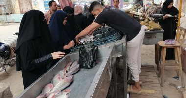انخفاض أسعار الأسماك للنصف بالدقهلية يبدأ من 30 جنيها.. فيديو