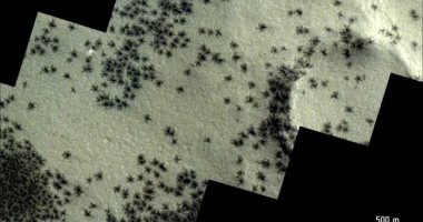 الأقمار الصناعية ترصد مجموعات تشبه "العناكب" منتشرة  على المريخ