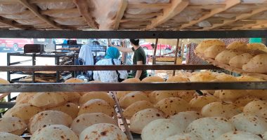 انخفاض أسعار الخبز السياحي داخل مخابز الغربية.. فيديو 