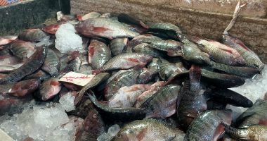 انخفاض كبير بأسعار السمك فى المنوفية بعد حملة المقاطعة.. فيديو