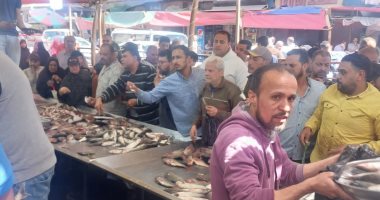 انخفاض فى أسعار الأسماك داخل أسواق دمياط وإقبال من المواطنين.. فيديو