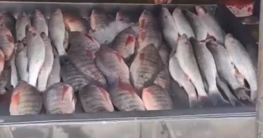 تعرف على أسعار الأسماك بأسواق كفر الشيخ.. بعد عزوف المواطنين عن الشراء