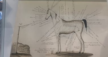 كتب نادرة فى معرض أبو ظبي للكتاب.. مخطوطة قديمة لتربية الخيول العربية