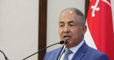 رئيس دفاع النواب: انضمام مصر لدعوى جنوب أفريقيا ضد إسرائيل خطوة جريئة