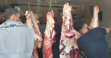 حملة تفتيشية مكبرة على محلات بيع اللحوم والأسماك بالحوامدية.. صور