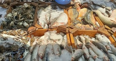 انخفاض أسعار الأسماك فى أسواق المنوفية والبلطى بـ  70 جنيه