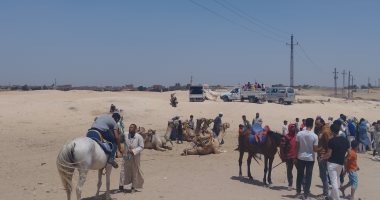 سباقات للجمال والخيول فى منطقة شهداء البهنسا بالمنيا.. فيديو