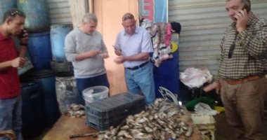 ضبط 36 طنا و700 كيلو أسماك مملحة غير صالحة قبل شم النسيم فى كفر الشيخ
