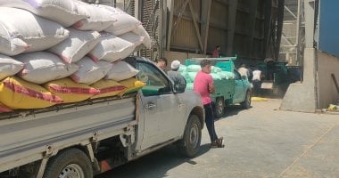 شون وصوامع المنيا تستقبل 113 ألف طن من محصول القمح لموسم حصاد 2024