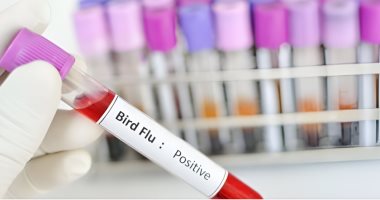 الصحة العالمية: مخاطر أنفلونزا الطيور لا تزال منخفضة