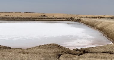 كنوز من ملح البحر الطبيعى تخرج من بين كثبان الرمال على ساحل شمال سيناء
