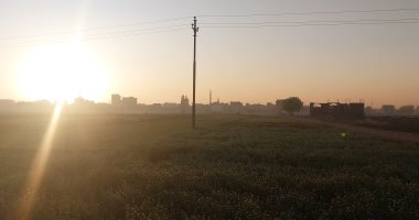 شاهد شروق شمس الشرقية وسط الخضرة والمناظر الخلابة للريف المصرى
