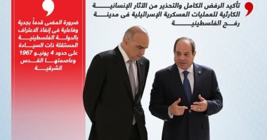 مصر والأردن يحذران من تداعيات العمليات الإسرائيلية برفح الفلسطينية.. إنفوجراف