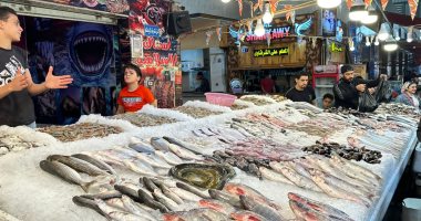 شاهد بيع الأسماك على نغمات الموسيقى فى سوق محافظة بورسعيد
