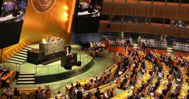 ما مكاسب فلسطين من قرار الأمم المتحدة بتأييد عضويتها؟ (فيديو)