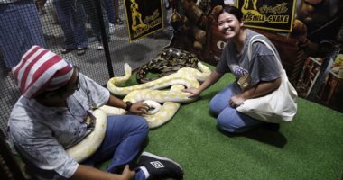 فعاليات معرض الحيوانات الأليفة بتايلاند