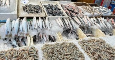 السمك صاحى.. جول داخل سوق الأسماك الحضارية بمحافظة بورسعيد.. فيديو وصور