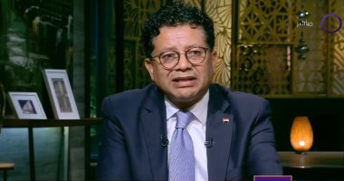 خبير سياسات دولية: مرافعات مصر بمجلس الأمن أشبه برصاص ناري يضرب إسرائيل