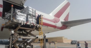 طائرة سعودية محملة بالمساعدات تصل مطار العريش لإنفاذها إلى أهالى غزة