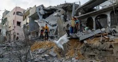 الحرب فى غزة 