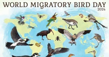 طلاب علوم المنصورة يحتفلون باليوم العالمى للطيور المهاجرة من "أشتوم الجميل"
