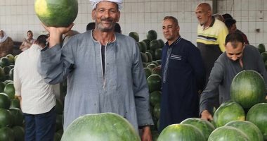 شاهد أكبر مزاد لبيع البطيخ قبلة التجار في وجه بحري بالإسكندرية.. فيديو