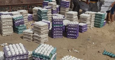 إعدام كميات من بيض فاسد ضبط بأسواق العريش خلال حملات تموينية.. صور